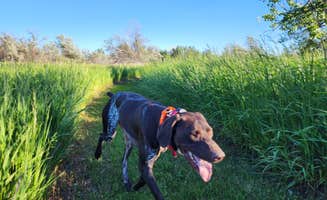 Ryley K.'s photo of camping with pets at Far West Fishing Access Site near Colstrip, MT