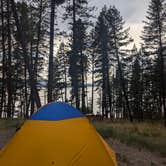 Review photo of Finley Point Unit — Flathead Lake State Park by Sara A., August 24, 2024