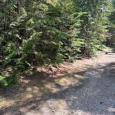 Review photo of Fish Creek Campground — Glacier National Park by Stacee I., June 11, 2025