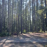 Review photo of Fish Creek Campground — Glacier National Park by Lainey P., August 30, 2026