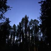 Review photo of Fish Creek Campground — Glacier National Park by Lainey P., August 30, 2026