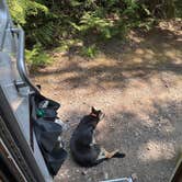 Review photo of Fish Creek Campground — Glacier National Park by Stacee I., June 11, 2025