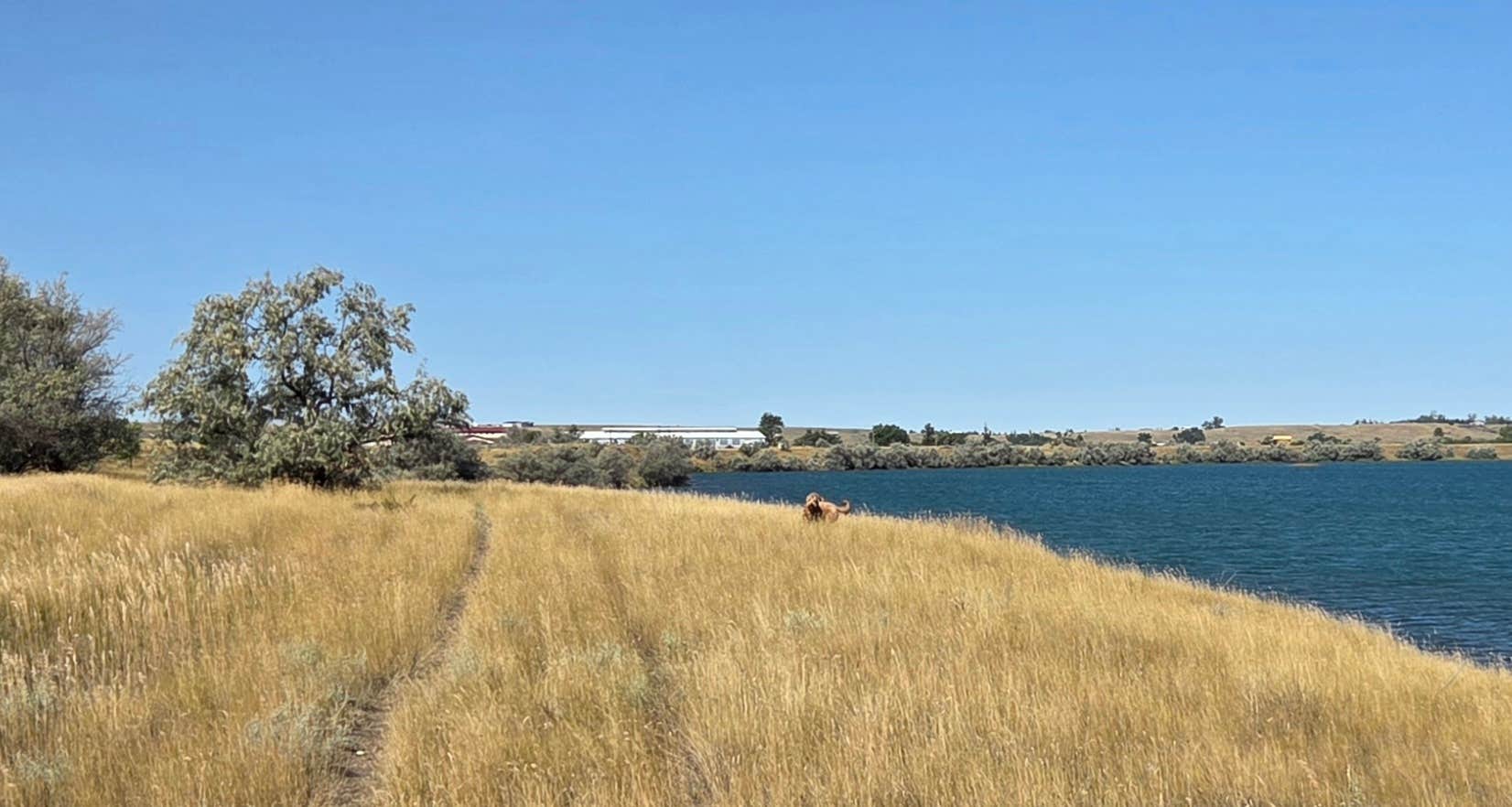 Camper-submitted photo at Floodplain near Fort Peck Project