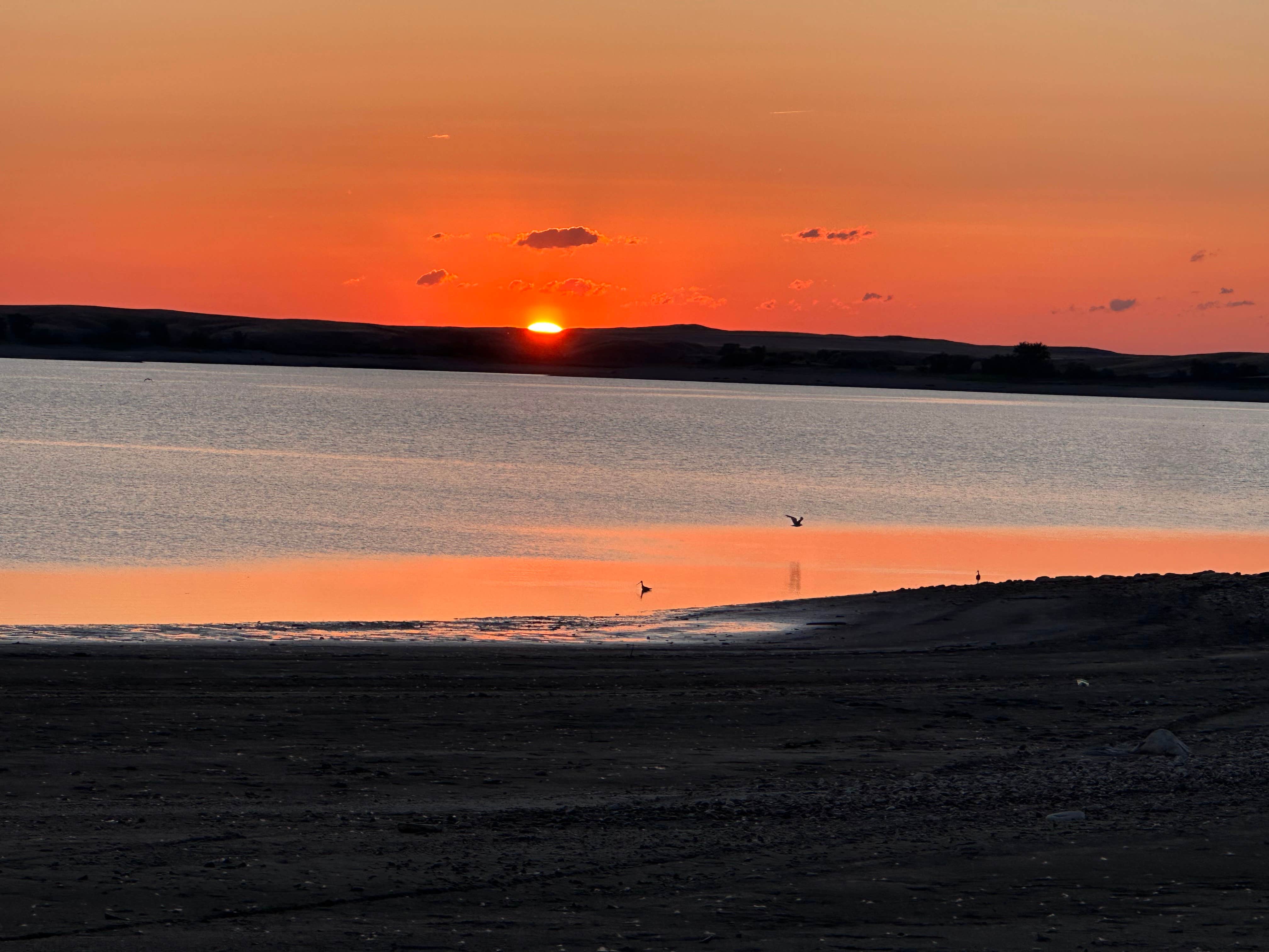 Camper-submitted photo at Kiehns Bay near Box Elder, MT