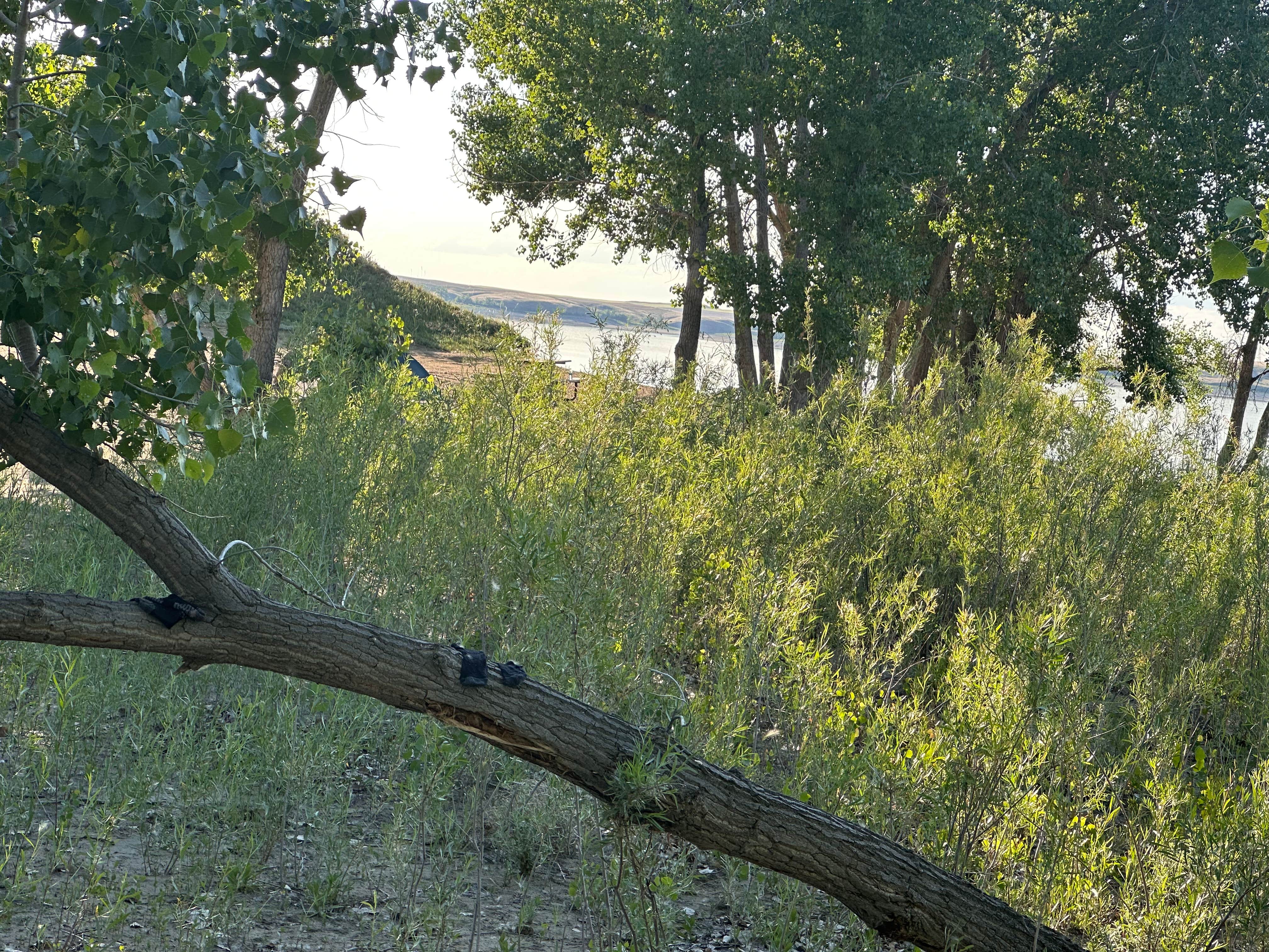 Camping near BLM Lonesome Lake: Kiehns Bay, Havre, Montana
