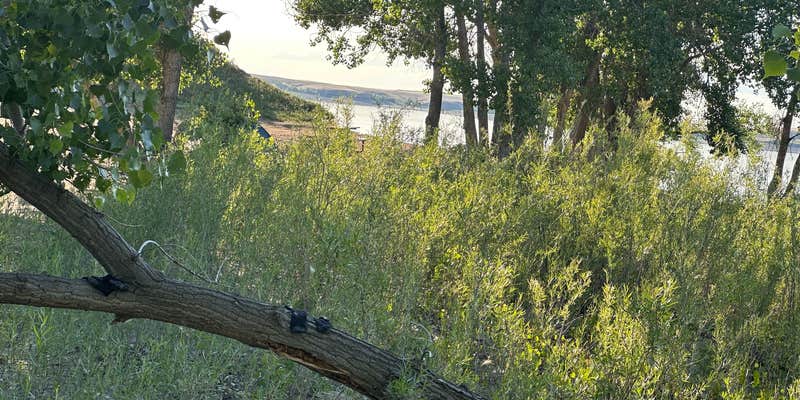 Camper submitted image from Kiehns Bay