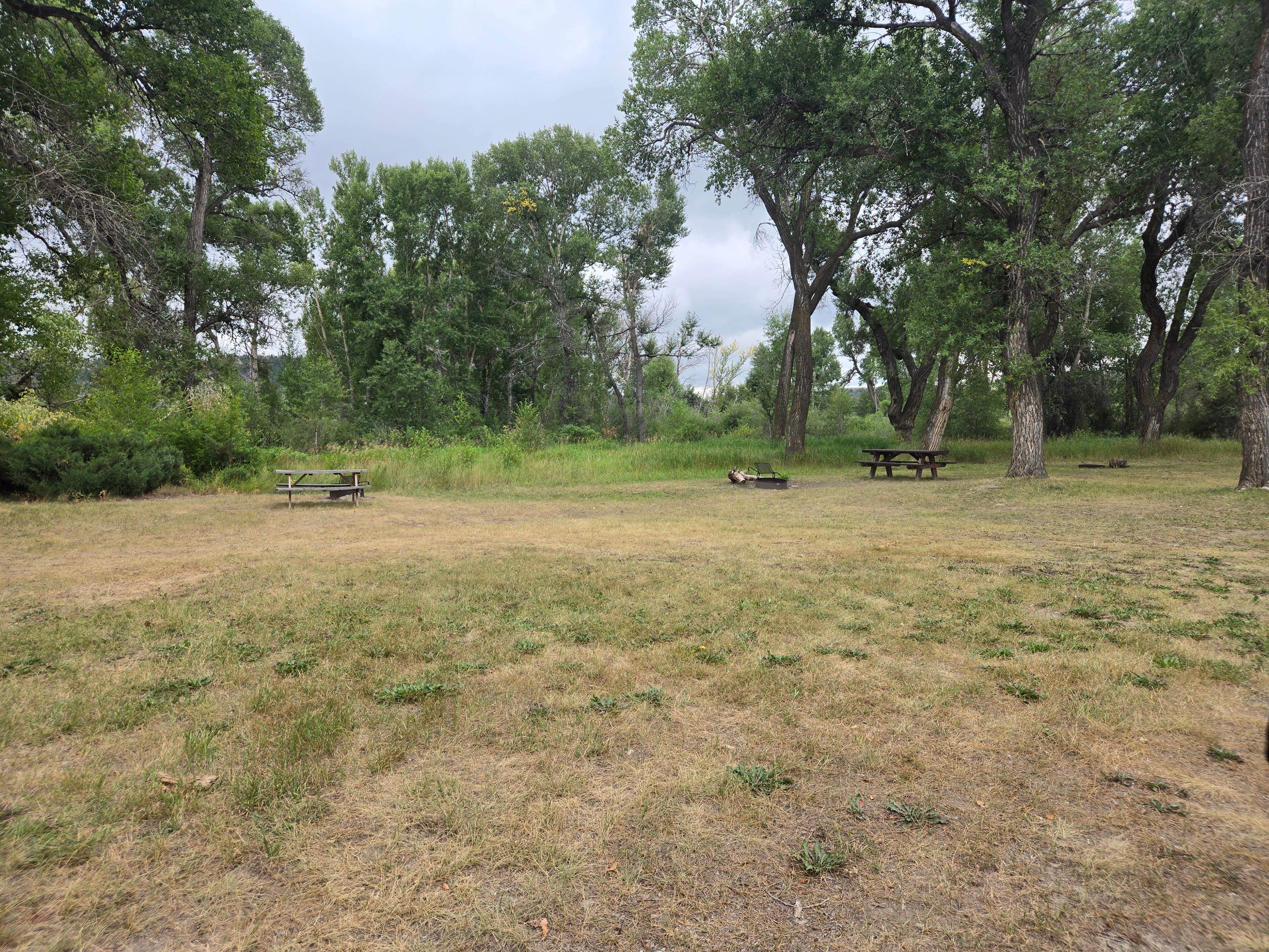 Camper-submitted photo at Grey Bear near Greycliff, MT