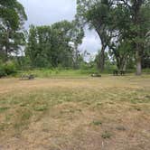 Review photo of Grey Bear by Steve M., July 30, 2025