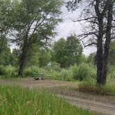 Review photo of Grey Bear by Steve M., July 30, 2025
