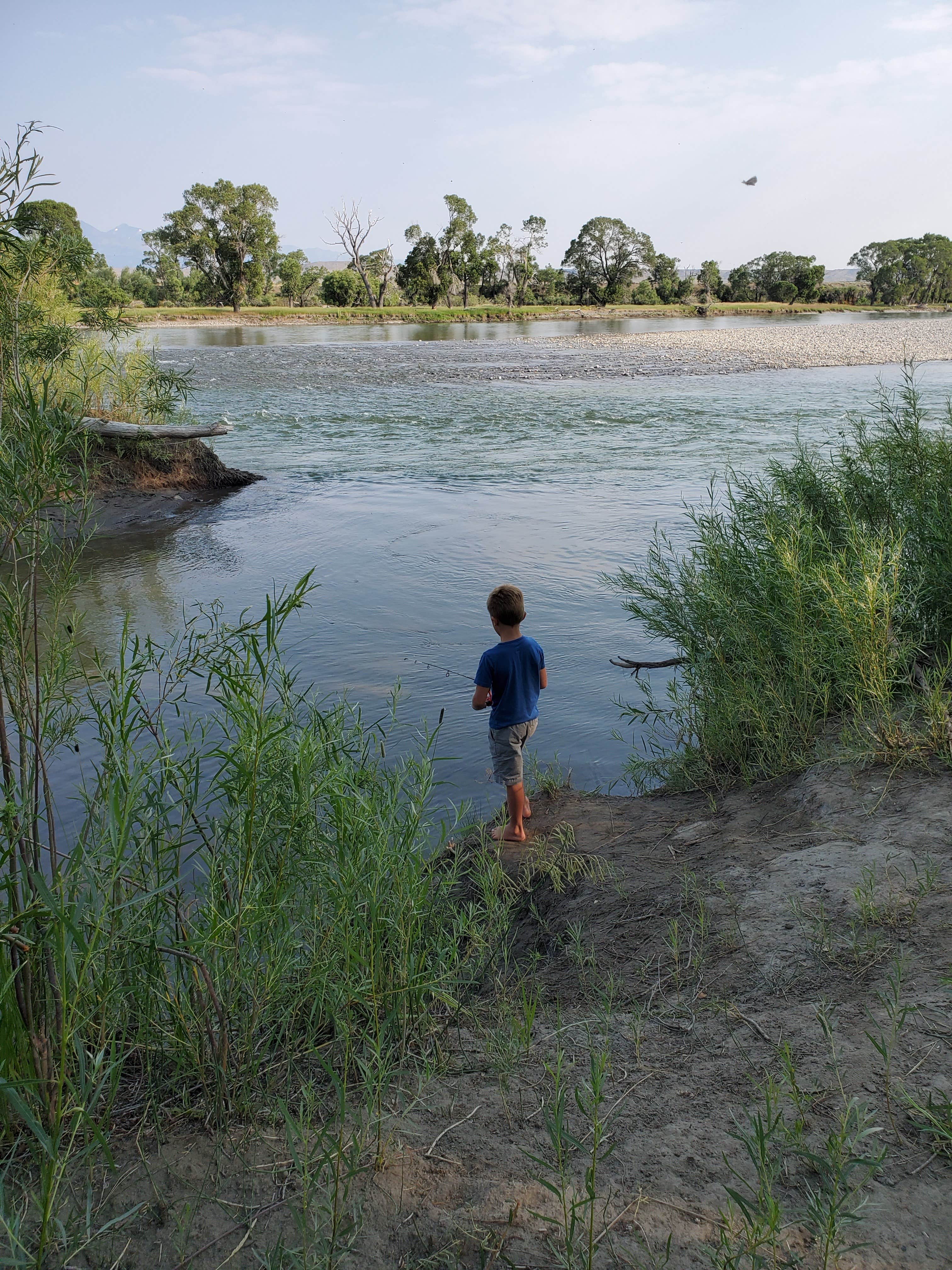 Camper-submitted photo at Grey Bear near Greycliff, MT