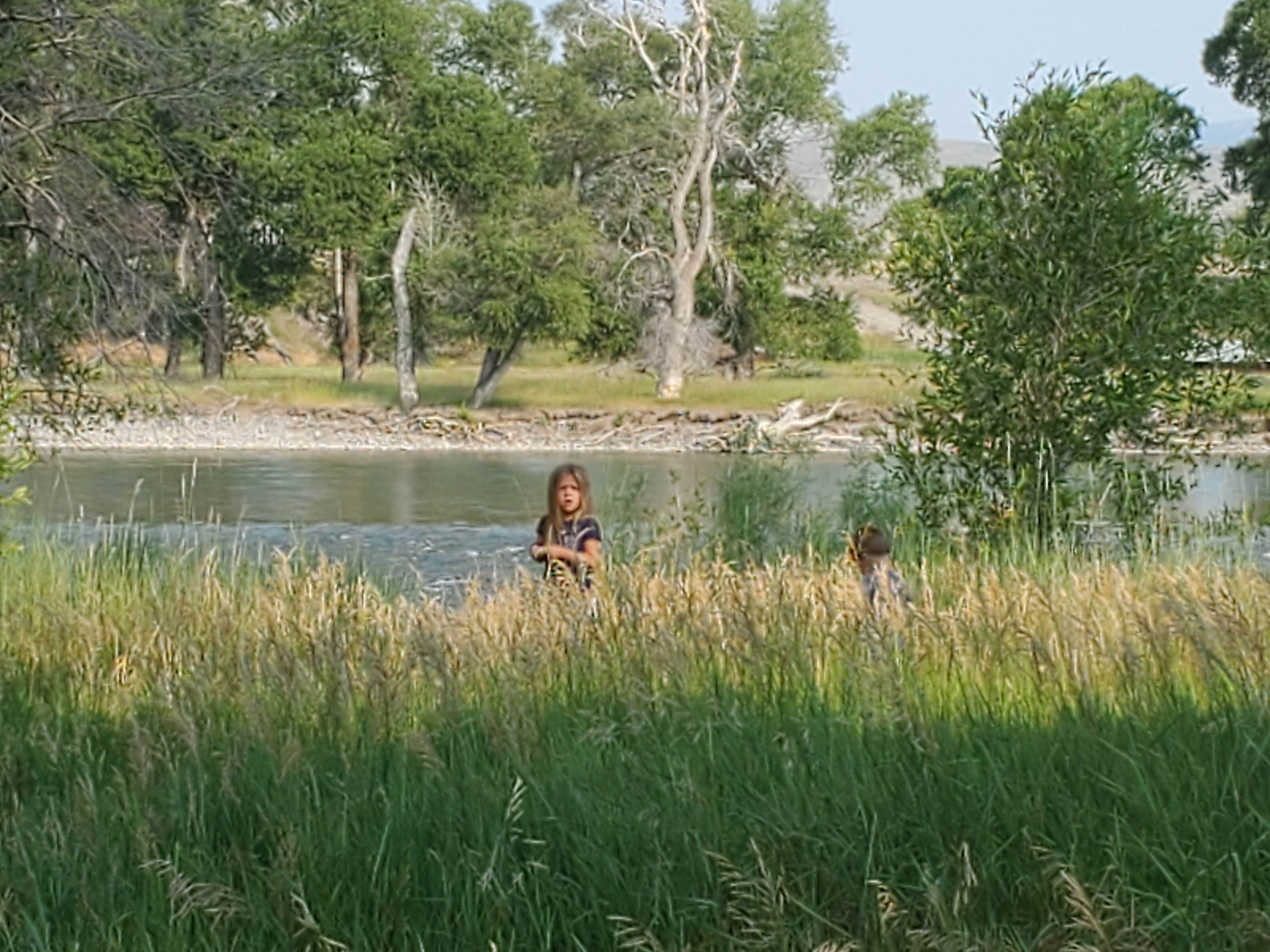 Camper-submitted photo at Grey Bear near Greycliff, MT