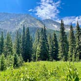 Review photo of Halfmoon Campground by Brodie B., July 20, 2025