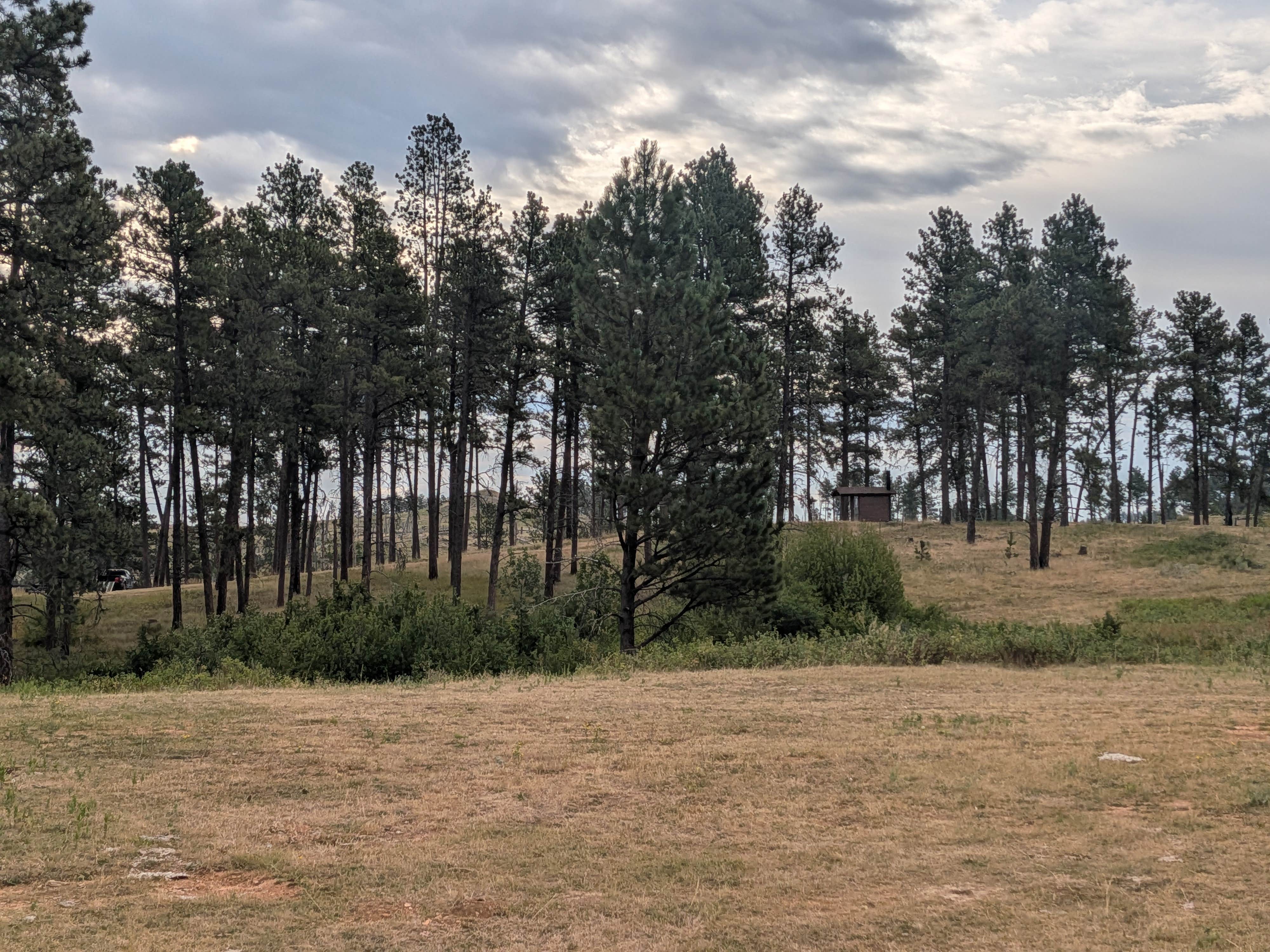 Camper-submitted photo at Holiday Spring Campground near Colstrip, MT