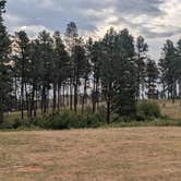 Review photo of Holiday Spring Campground by David Z., August 29, 2026