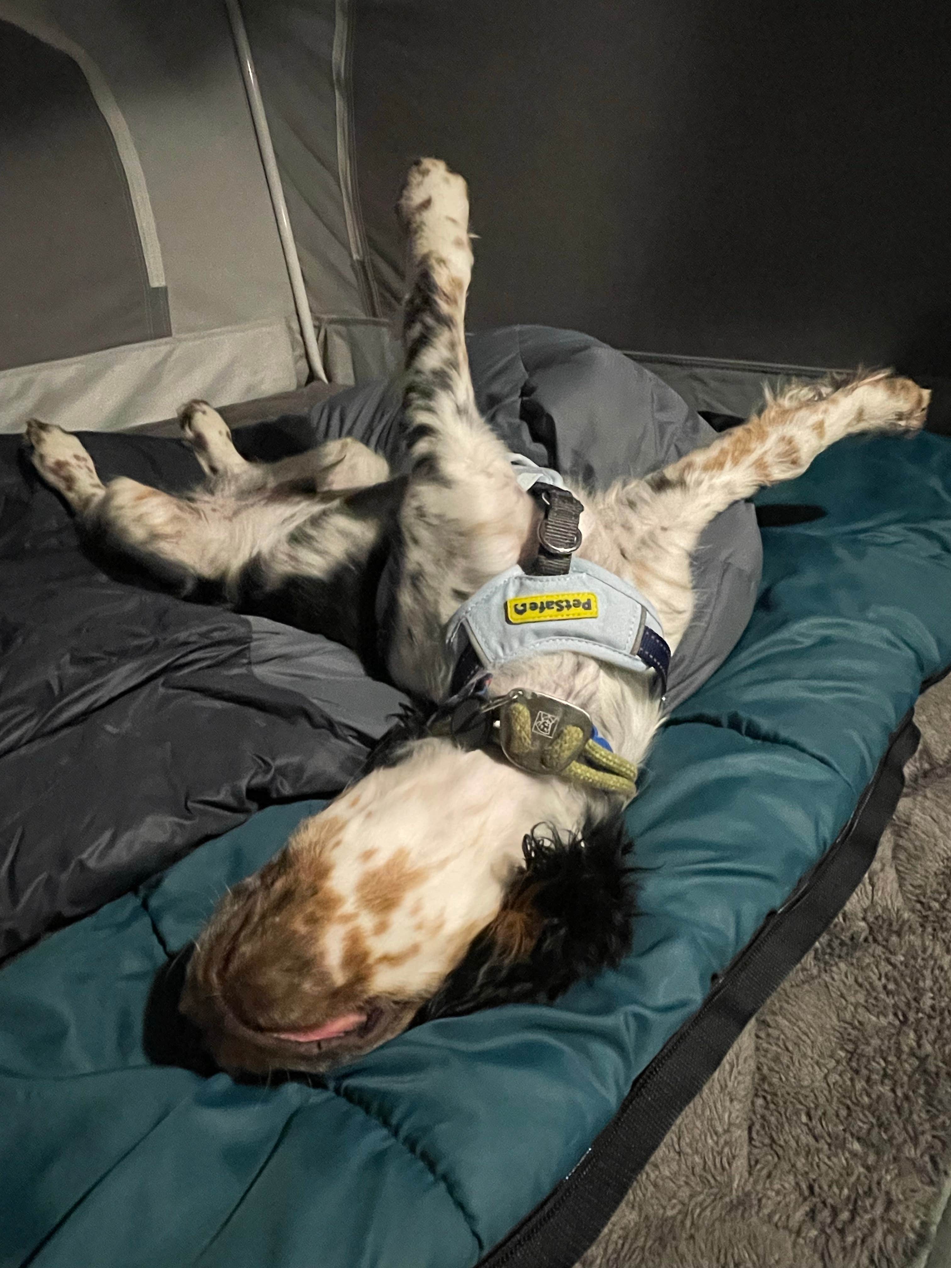 Camper-submitted photo at Holland Lake Picnic Site near Condon, MT