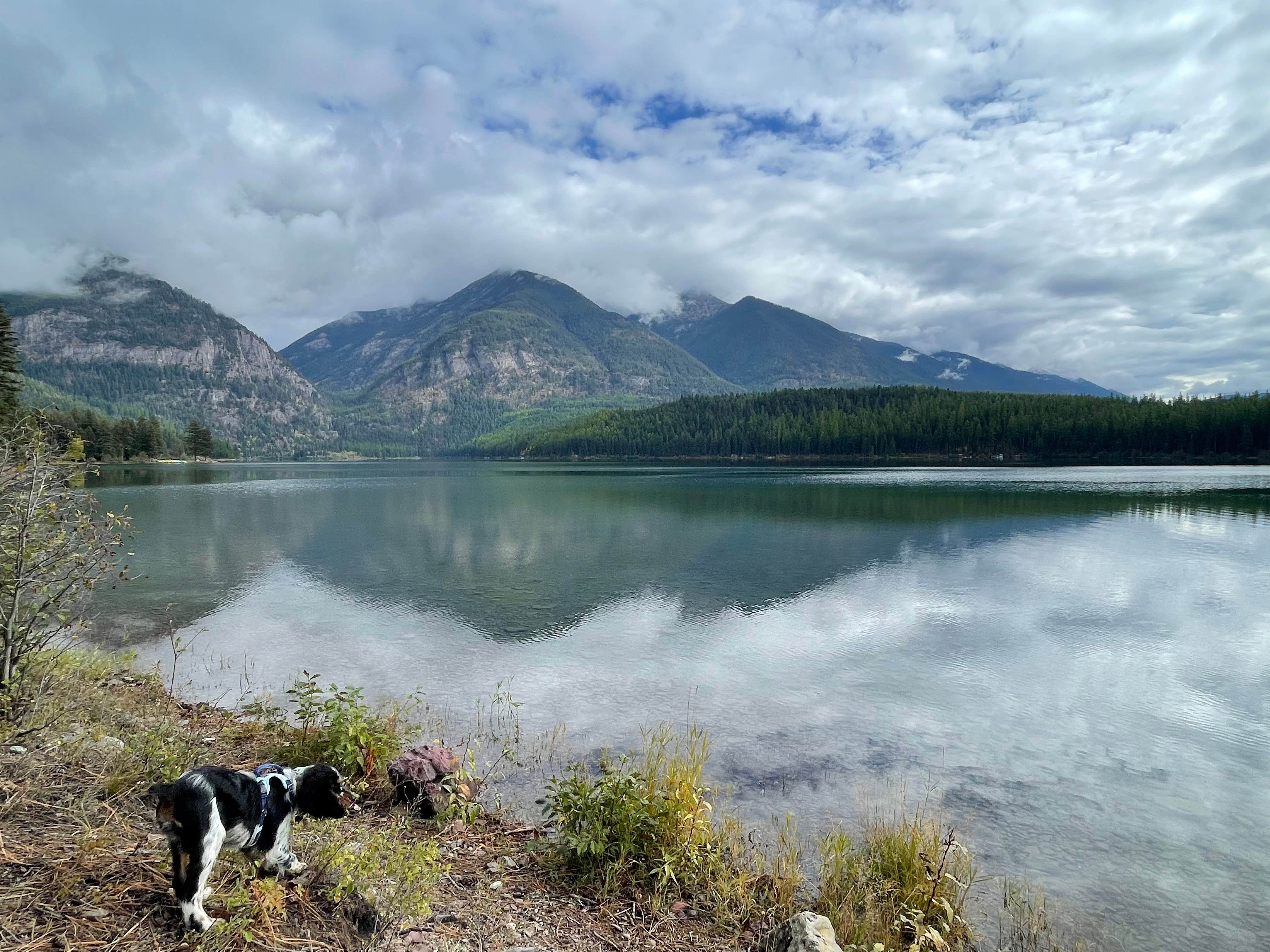 Brodie B.'s photo of camping with pets at Holland Lake Picnic Site near Condon, MT
