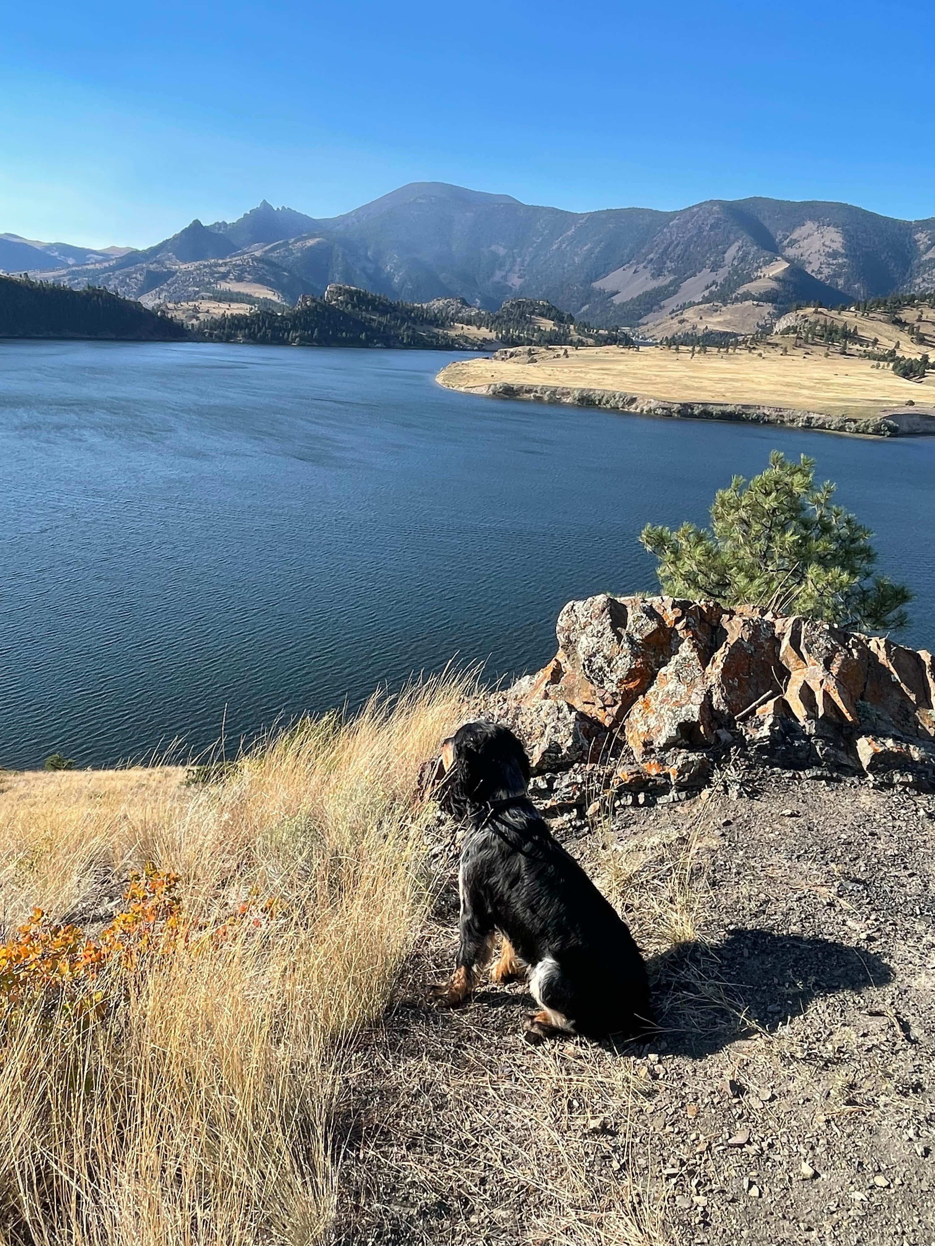Camper-submitted photo at Log Gulch Recreation Site near Helena, MT