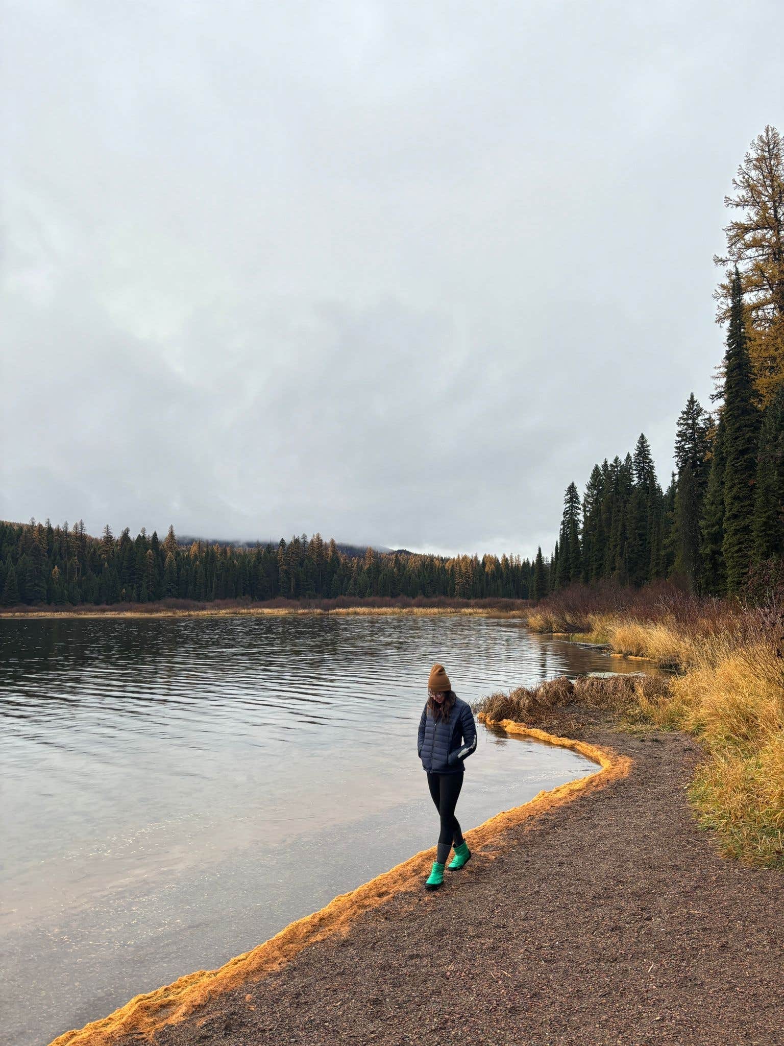 Camper submitted image from Lake Alva Campground - 5