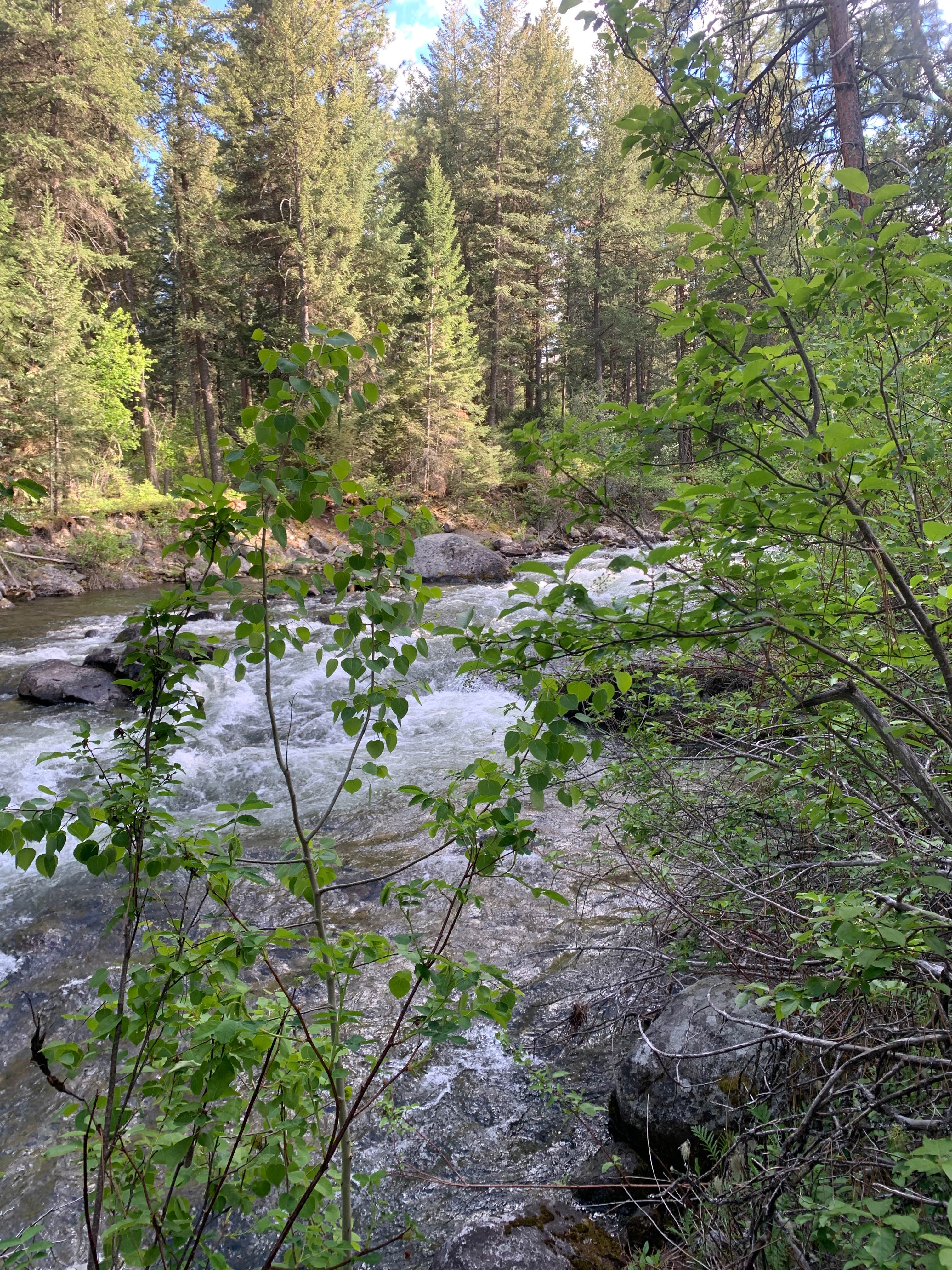 Camper-submitted photo at Lake Como Campground near Conner, MT