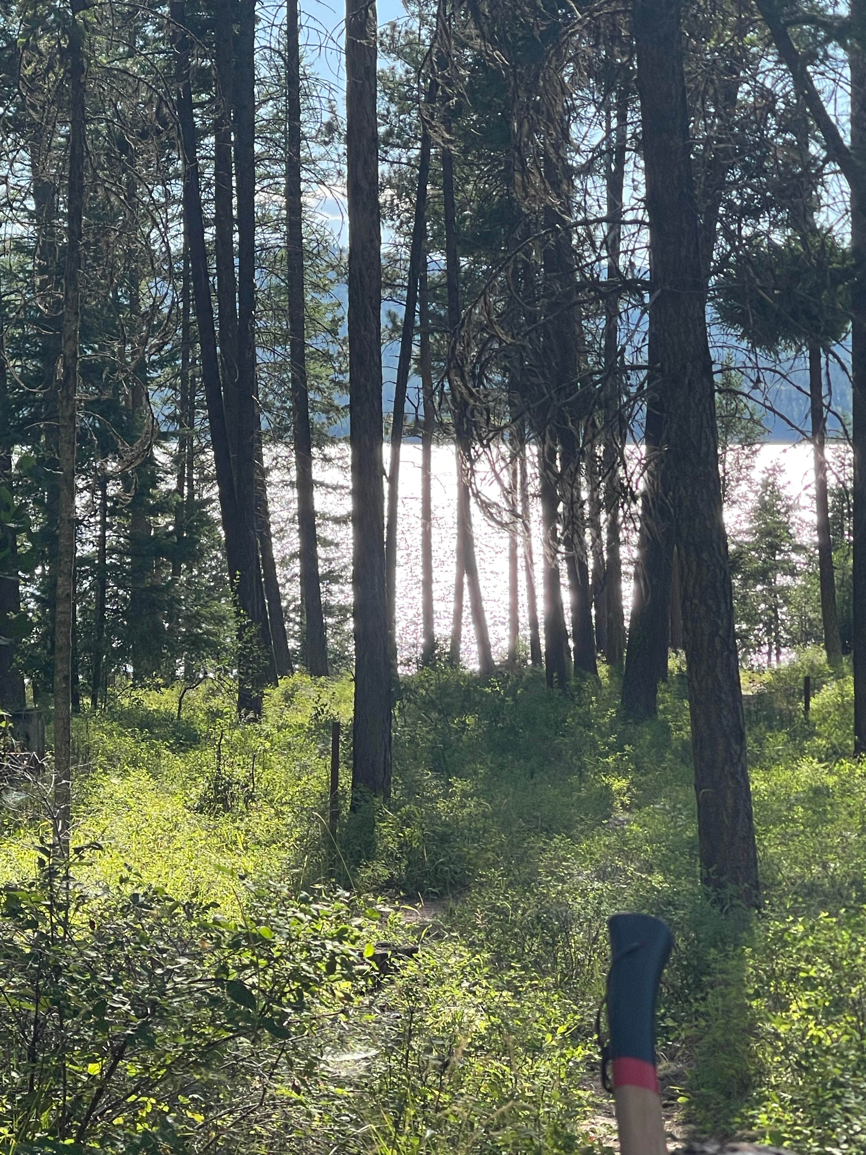 Camper-submitted photo at Lake Mary Ronan State Park Campground near Dayton, MT