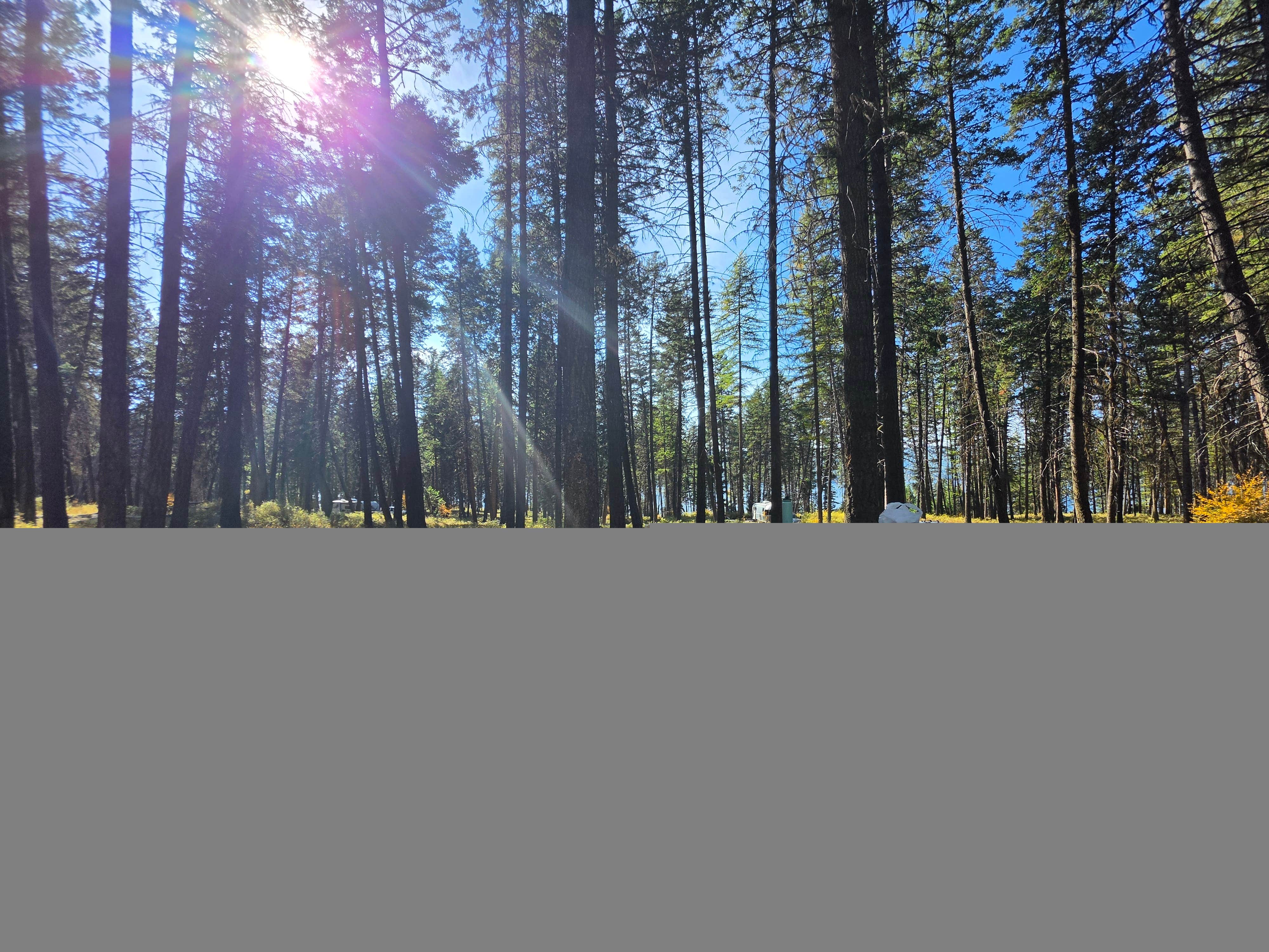 Camper-submitted photo at Lake Mary Ronan State Park Campground near Lakeside, MT