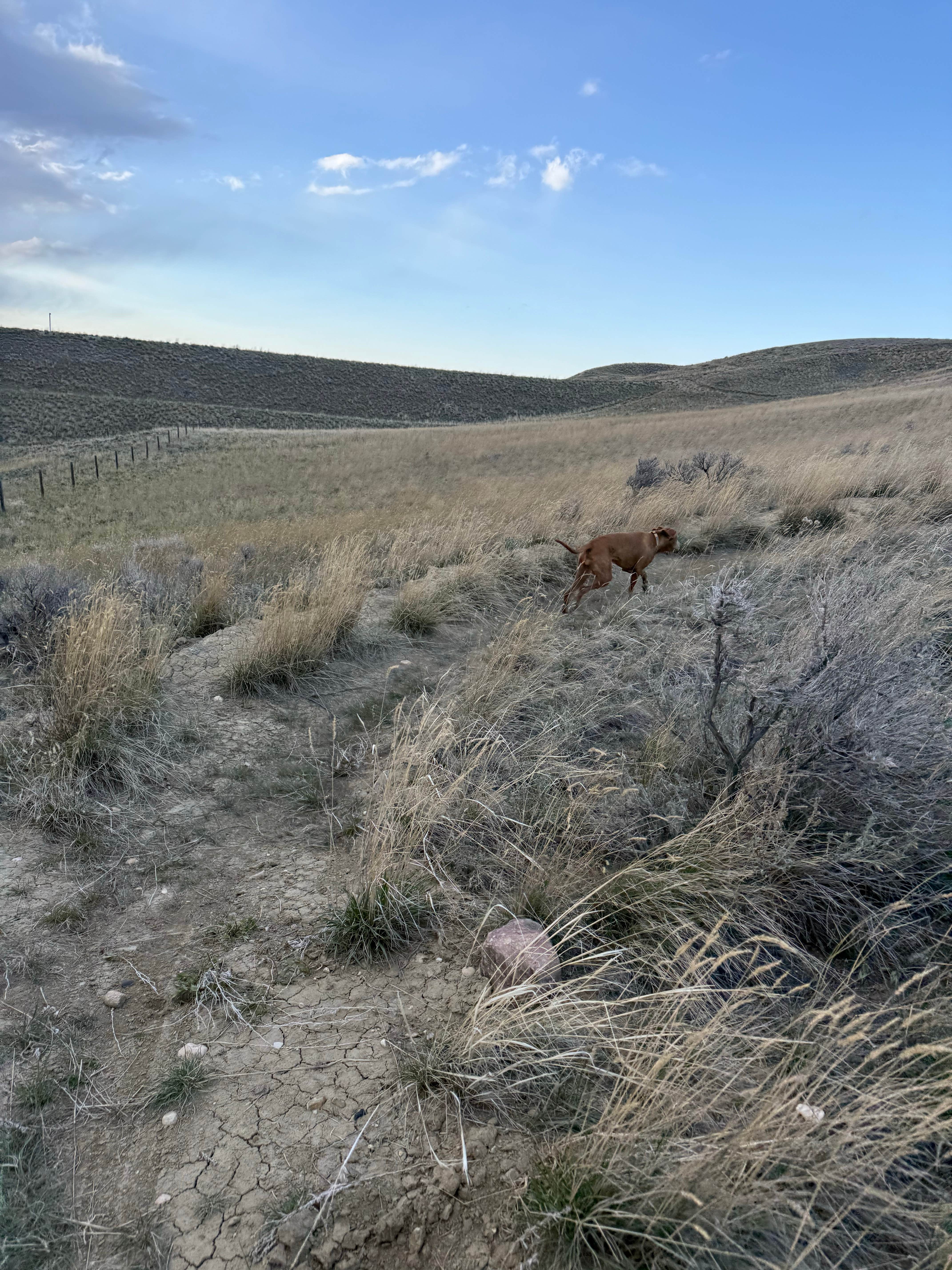 @57overlander C.'s photo of camping with pets at Lake Shel-oole Campground near Cut Bank, MT