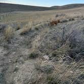 Review photo of Lake Shel-oole Campground by @57overlander C., April 23, 2025