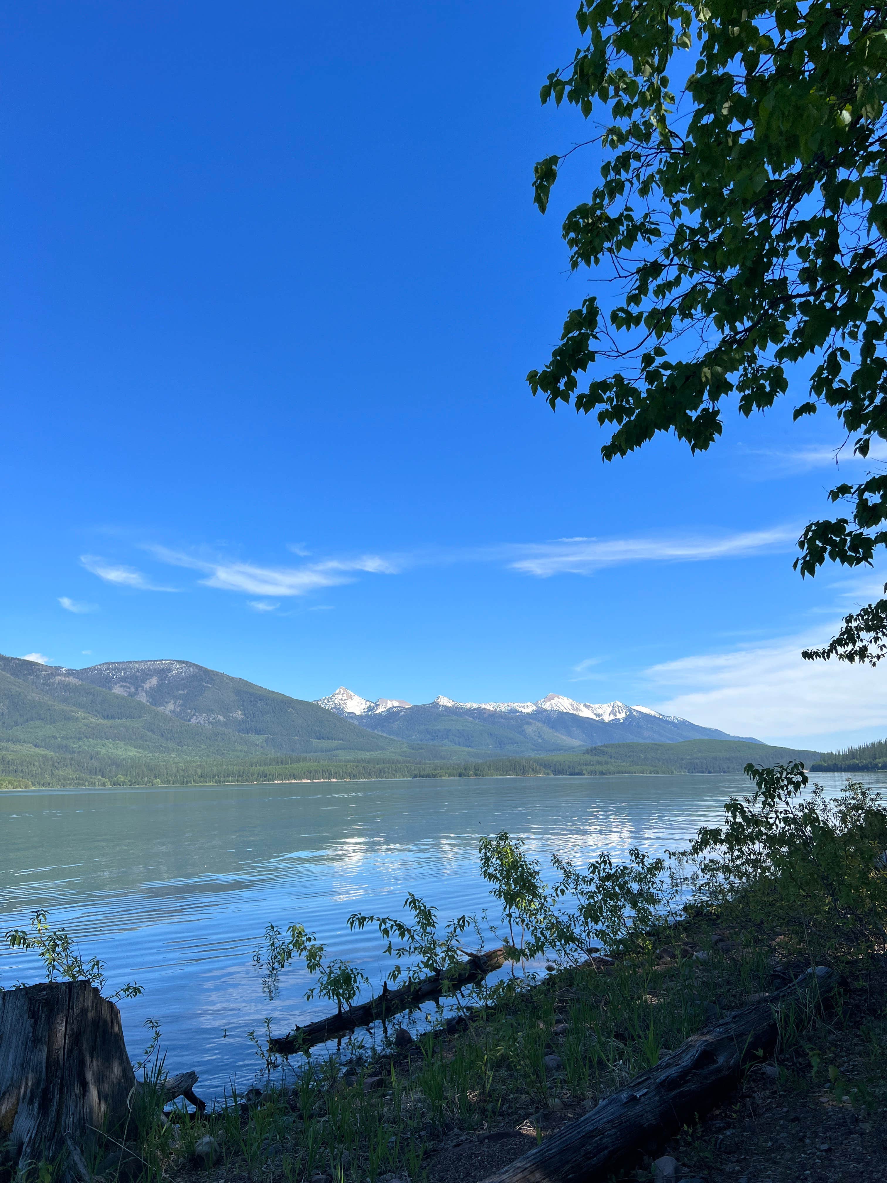 Haley L.'s photo of a dispersed camping area at Lakeview near Polson, MT