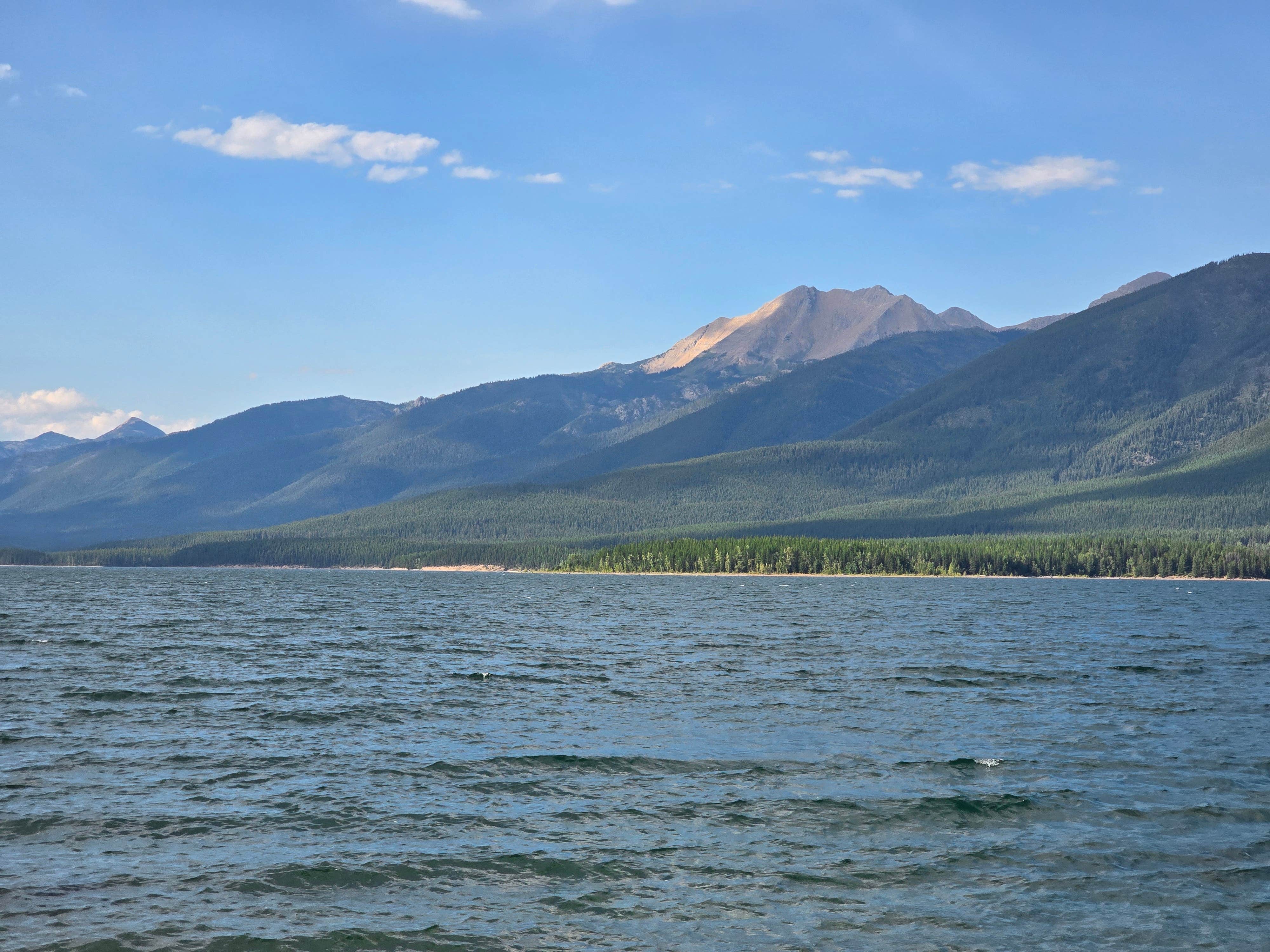 Summer F.'s photo of a dispersed camping area at Lakeview near Columbia Falls, MT