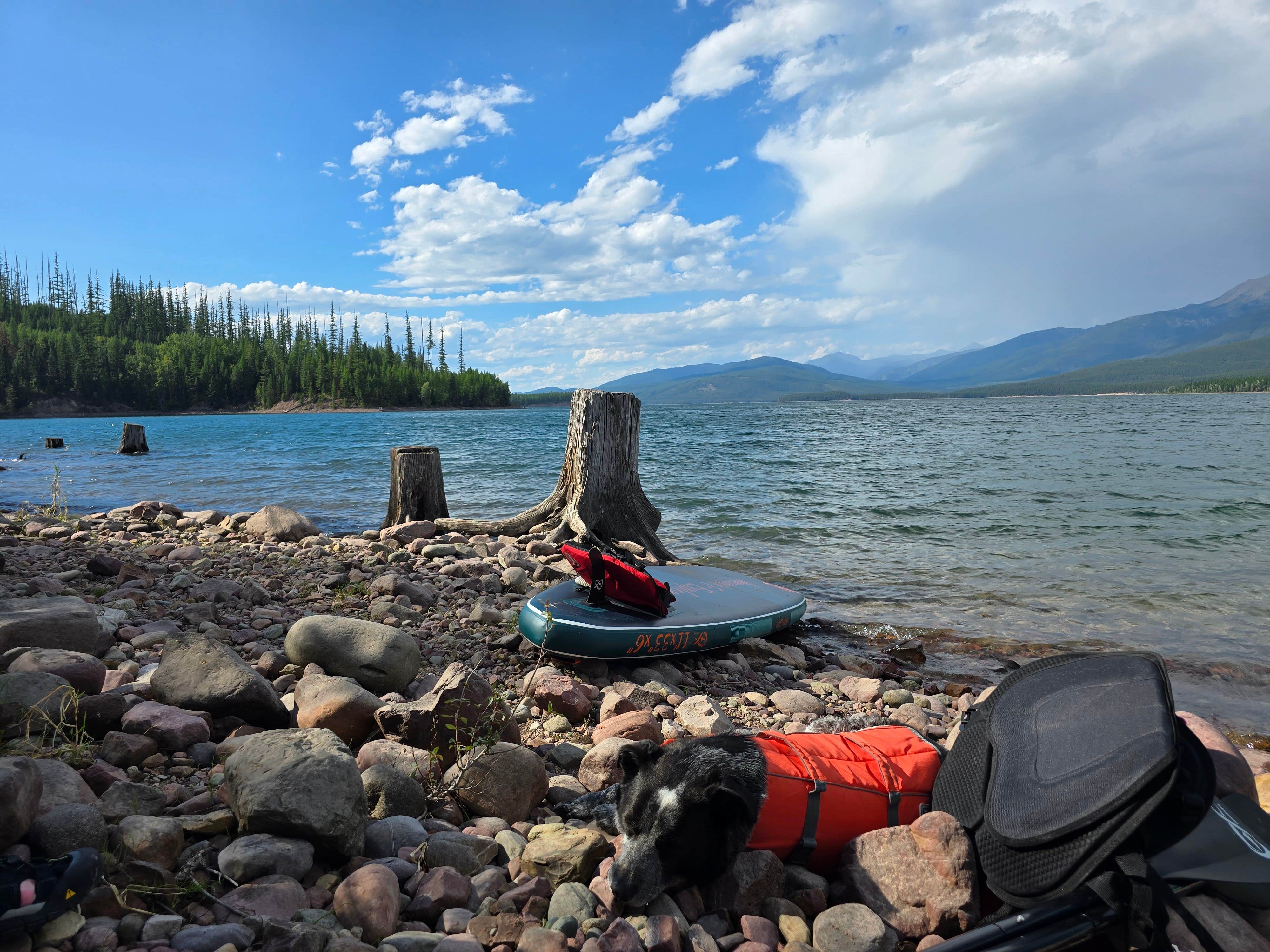 Summer F.'s photo of a dispersed camping area at Lakeview near Polson, MT