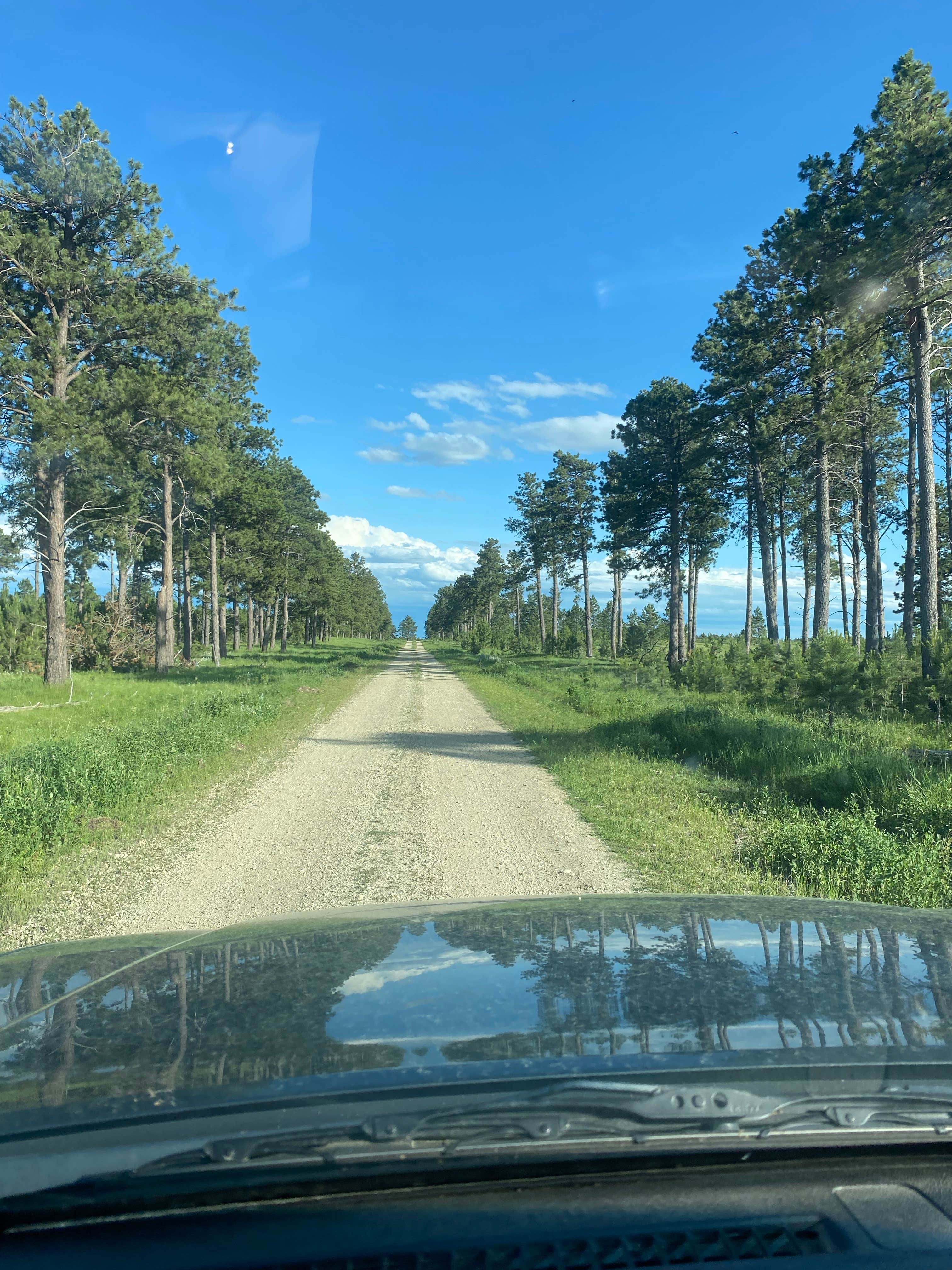 Camper-submitted photo at Lantis Spring Campground near Ekalaka, MT