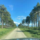 Review photo of Lantis Spring Campground by Sydney , July 1, 2025