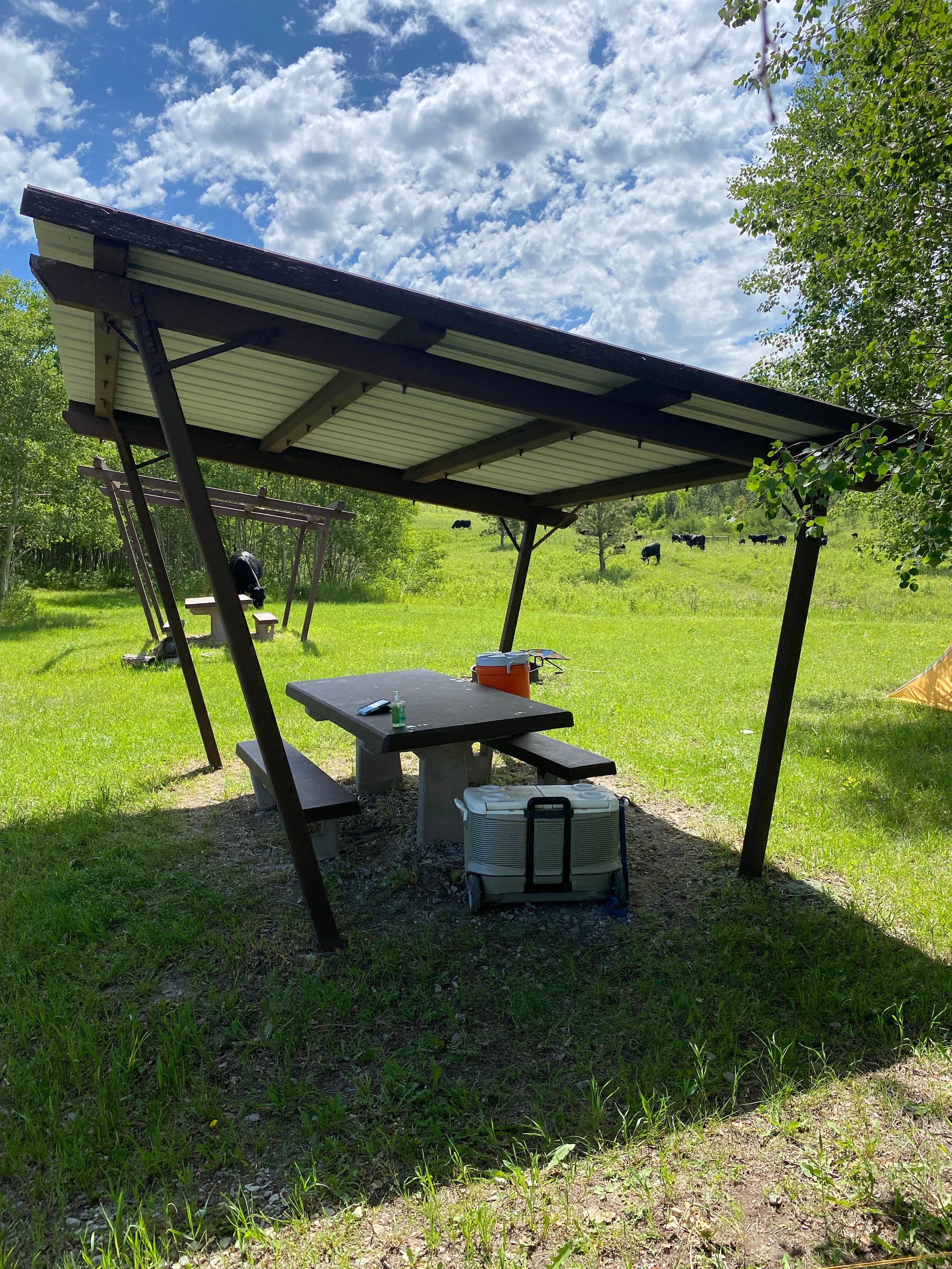 Camper-submitted photo at Lantis Spring Campground near Ekalaka, MT