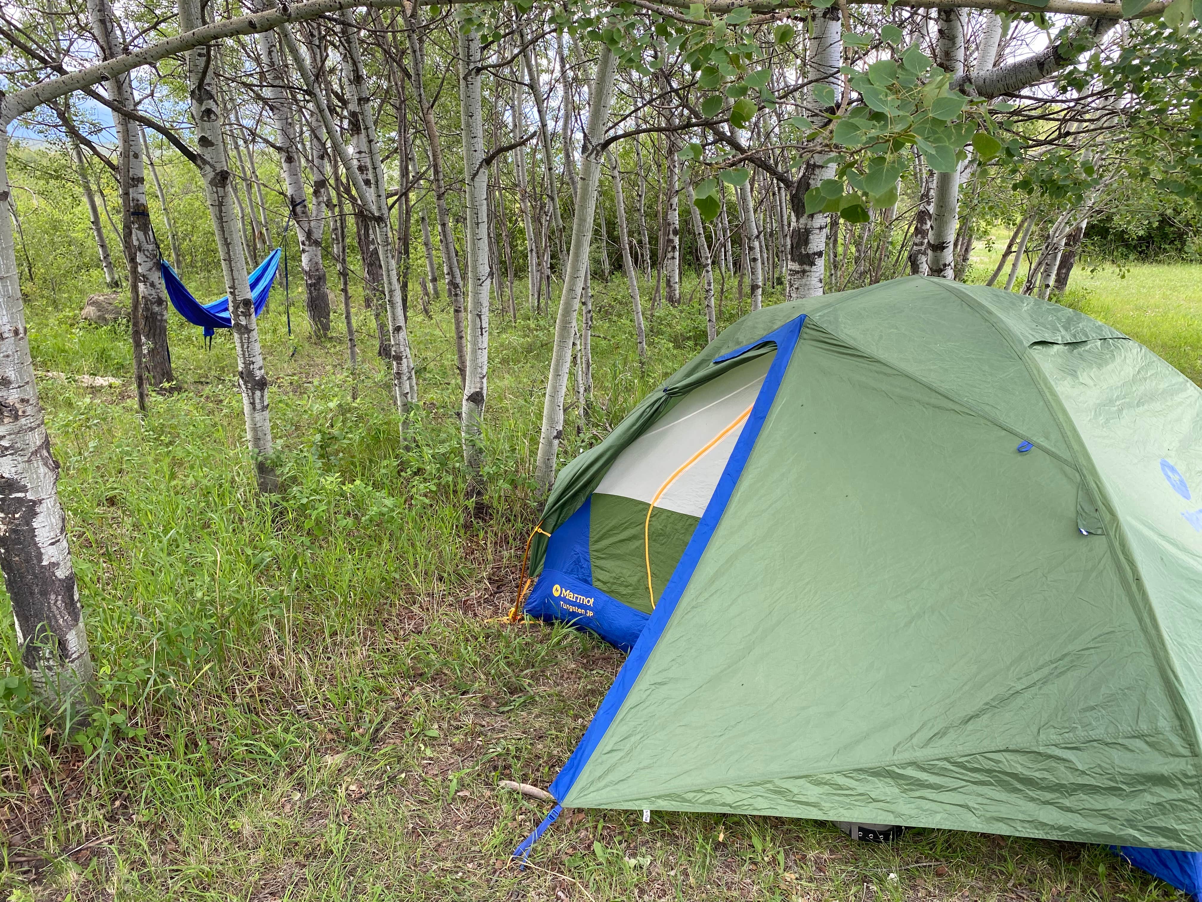 Sydney's photo of tent camping at Lantis Spring Campground near Ekalaka, MT