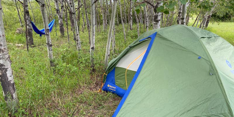 Camper submitted image from Lantis Spring Campground