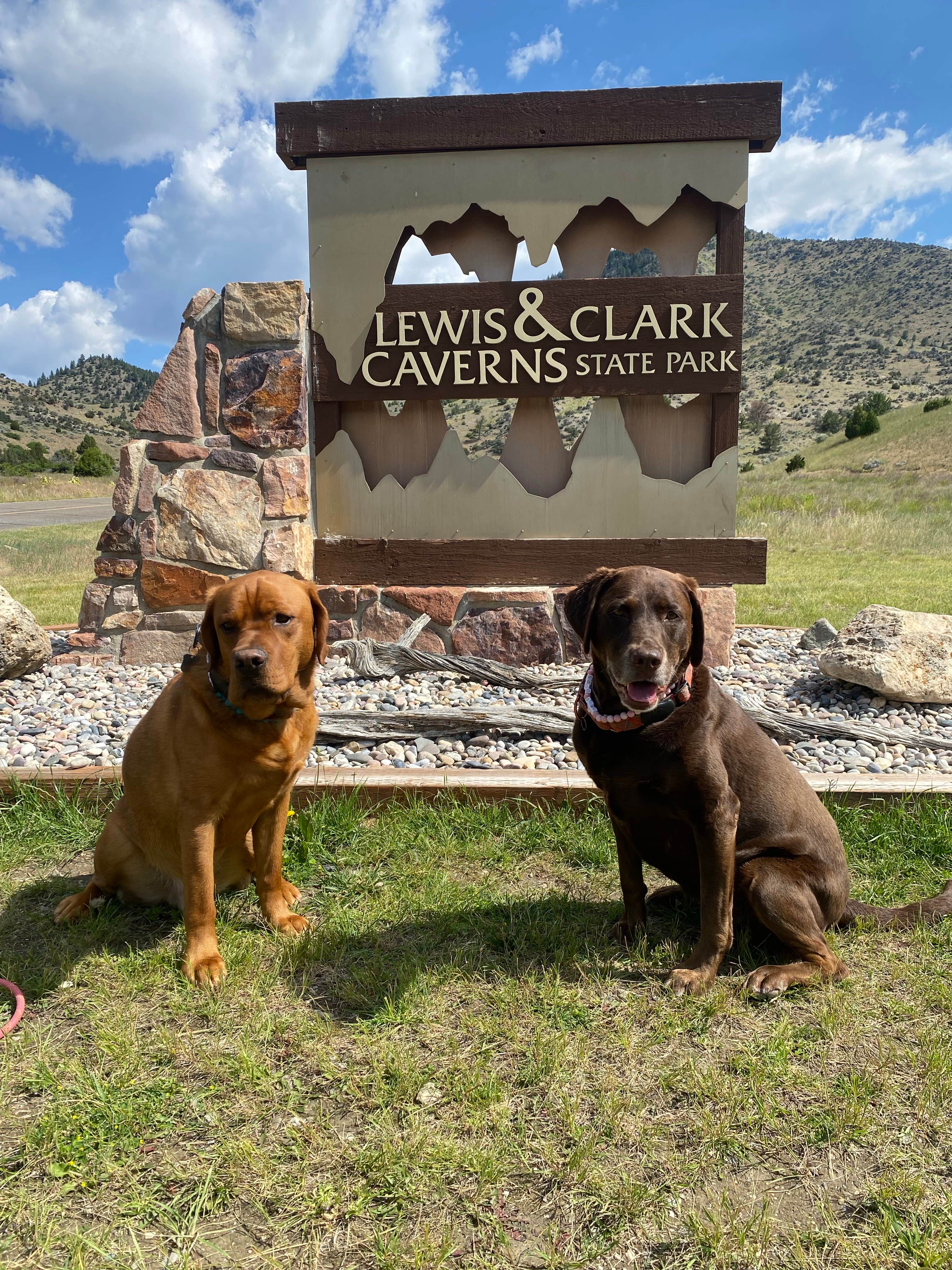 Stephanie G.'s photo of camping with pets at Lewis & Clark Caverns State Park — Lewis and Clark Caverns State Park near Boulder, MT