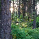 Review photo of Lid Creek Campground by Bob R., June 13, 2025