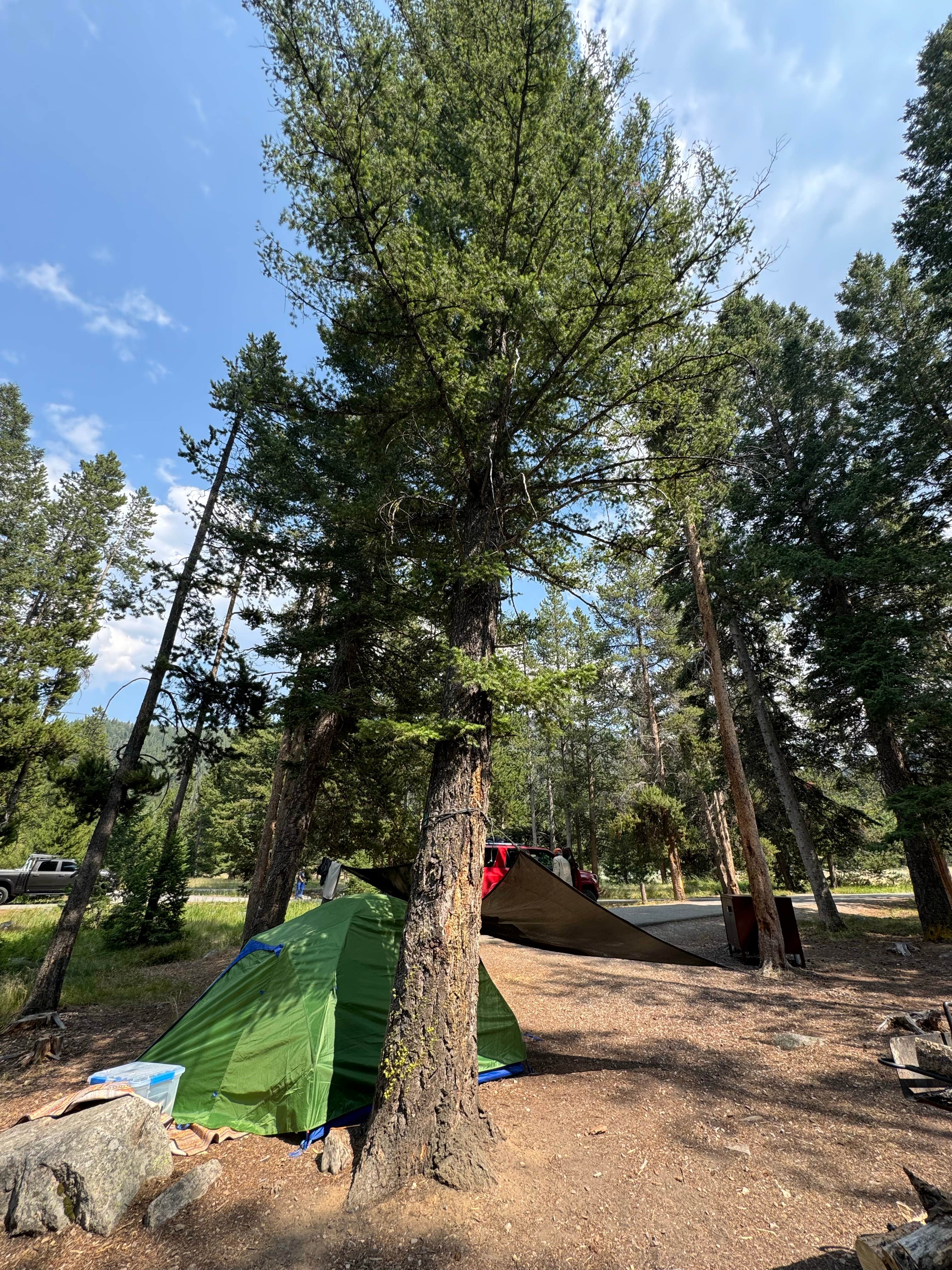 Lisa K.'s photo at Lodgepole Campground near Beaverhead-Deerlodge National Forest