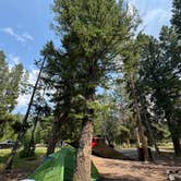 Review photo of Lodgepole Campground by Lisa K., July 22, 2024