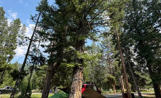 Lisa K.'s photo at Lodgepole Campground near Beaverhead-Deerlodge National Forest