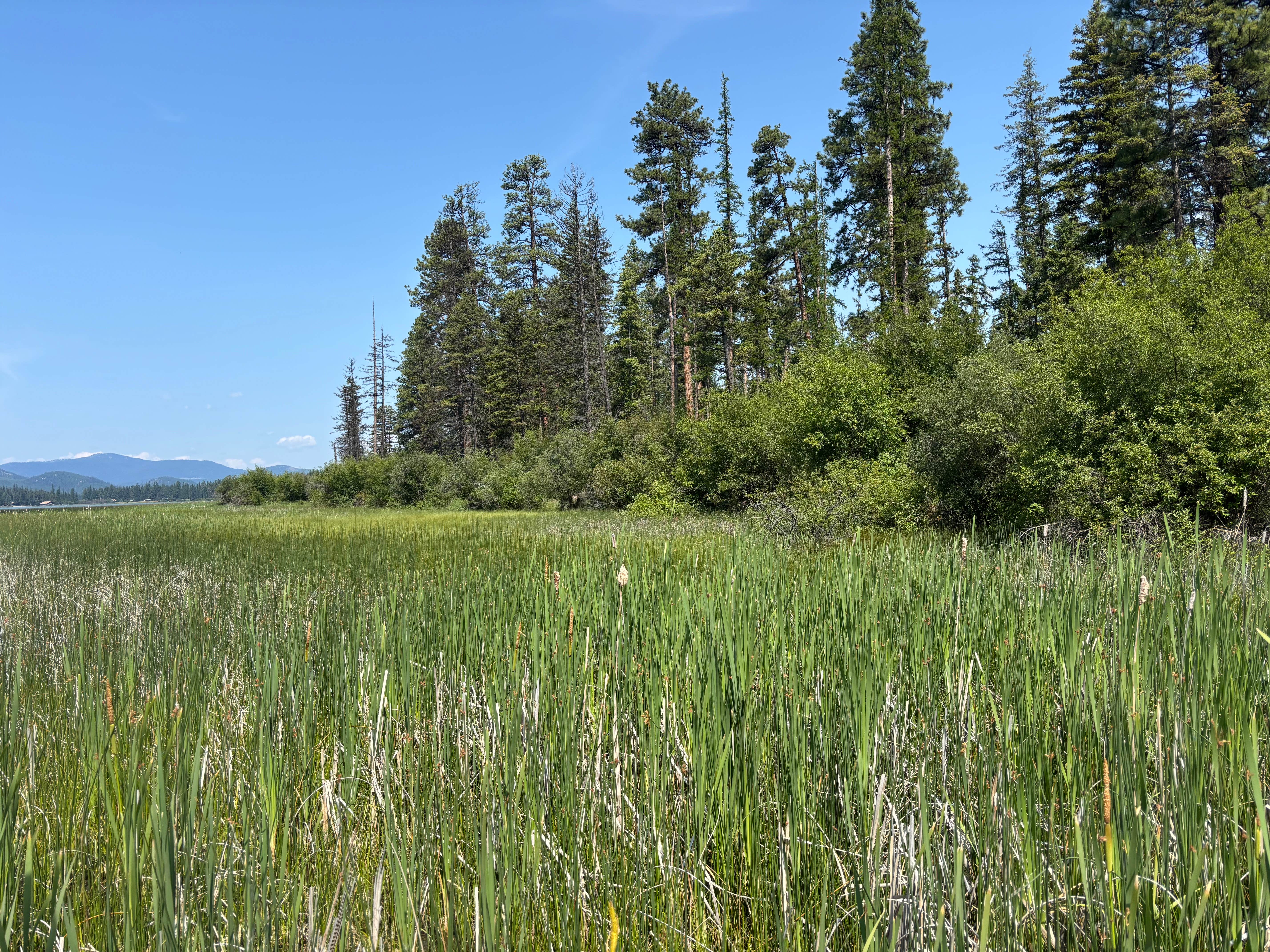 Camper-submitted photo at Logan State Park Campground near Plains, MT