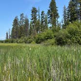 Review photo of Logan State Park Campground by Saydi S., January 7, 2026