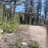 Review photo of Logging Creek by Jensen S., May 15, 2026