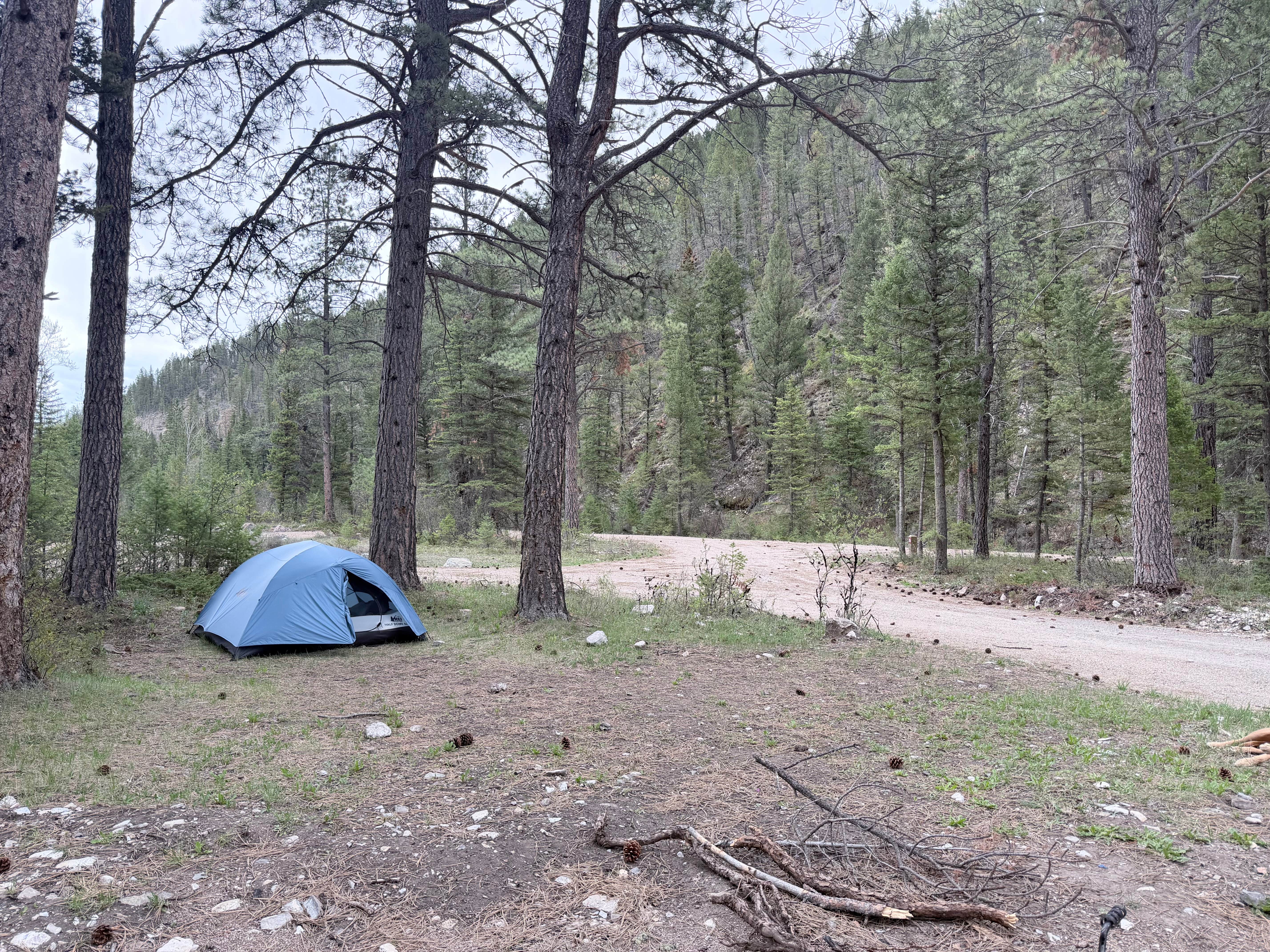 Camper-submitted photo at Logging Creek near Monarch, MT