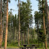 Review photo of Lowland Campground by Lisa K., July 15, 2024