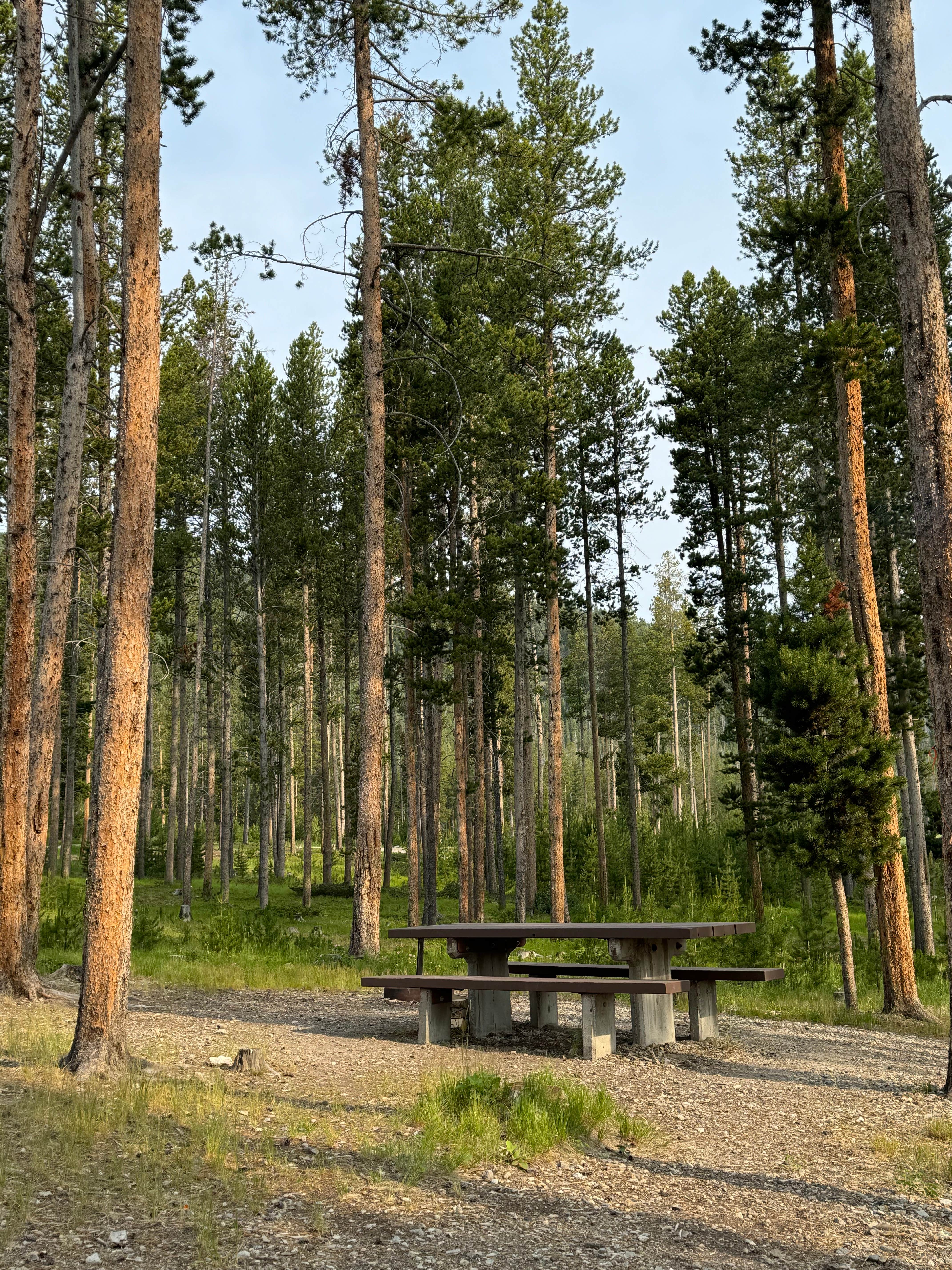 Montana's Hidden Gem: Lowland Campground, Where Adventure Meets Tranquility