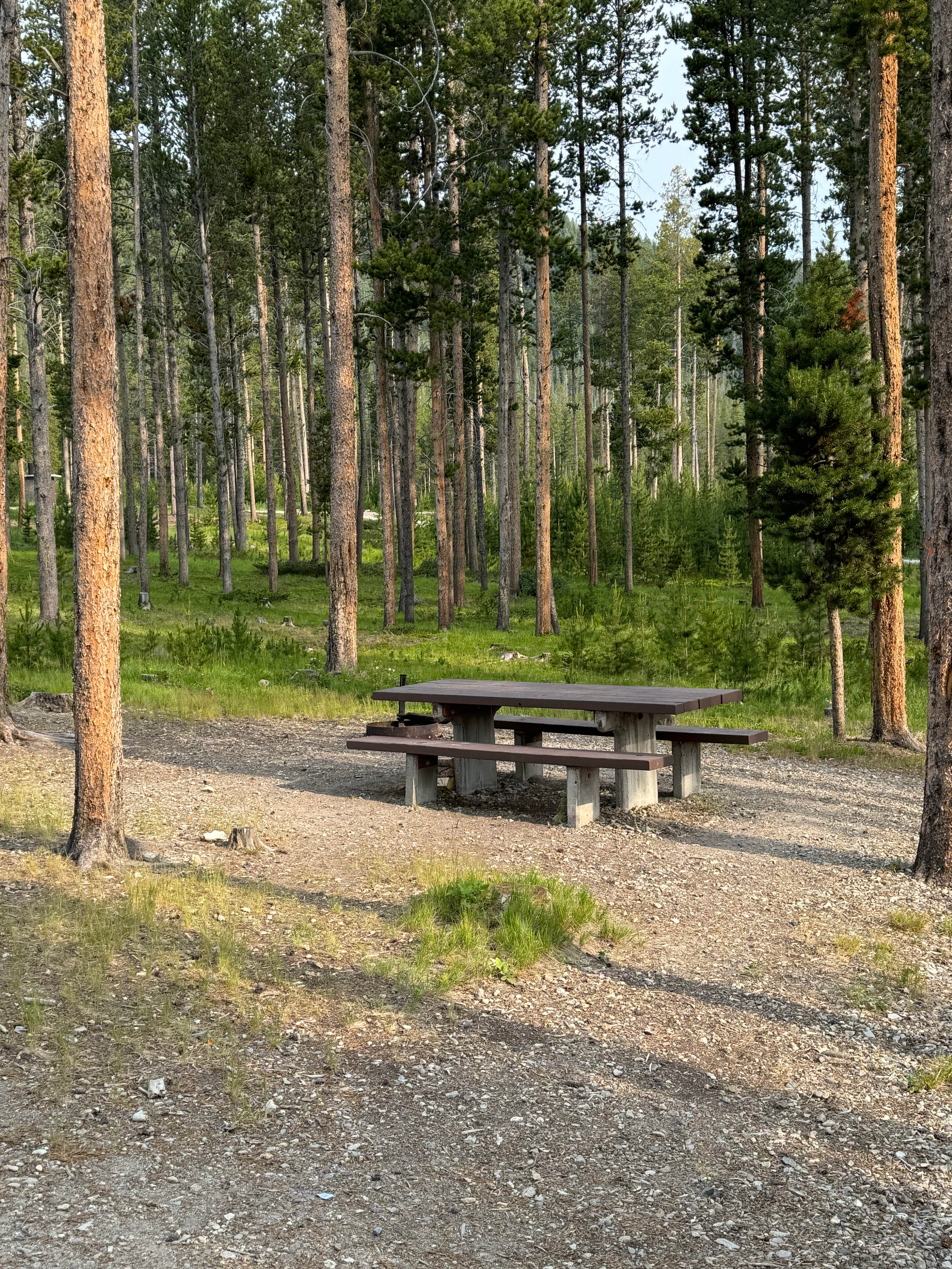 Camper-submitted photo at Lowland Campground near Butte, MT