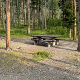 Review photo of Lowland Campground by Lisa K., July 15, 2024