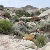 Review photo of Makoshika State Park Campground by Kevin L., August 4, 2024