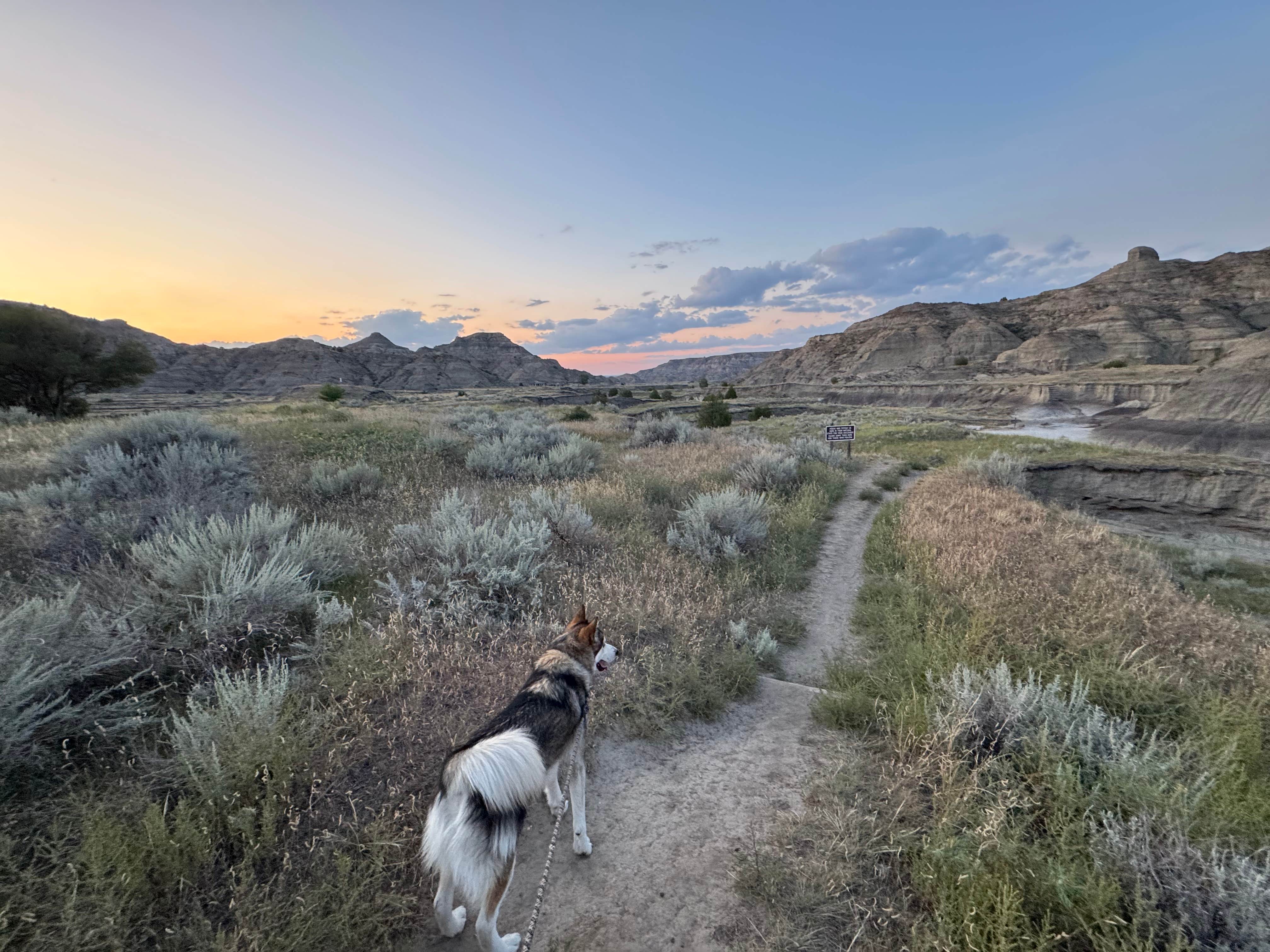 Cable A.'s photo of camping with pets at Makoshika State Park Campground in Montana